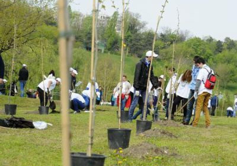 CAMPANIE: Un număr de 630 de arbori plantați în Capitală în cadrul unei campanii lansate de Universitatea București CAMPANIE: Un număr de 630 de arbori plantați în Capitală în cadrul unei campanii lansate de Universitatea București