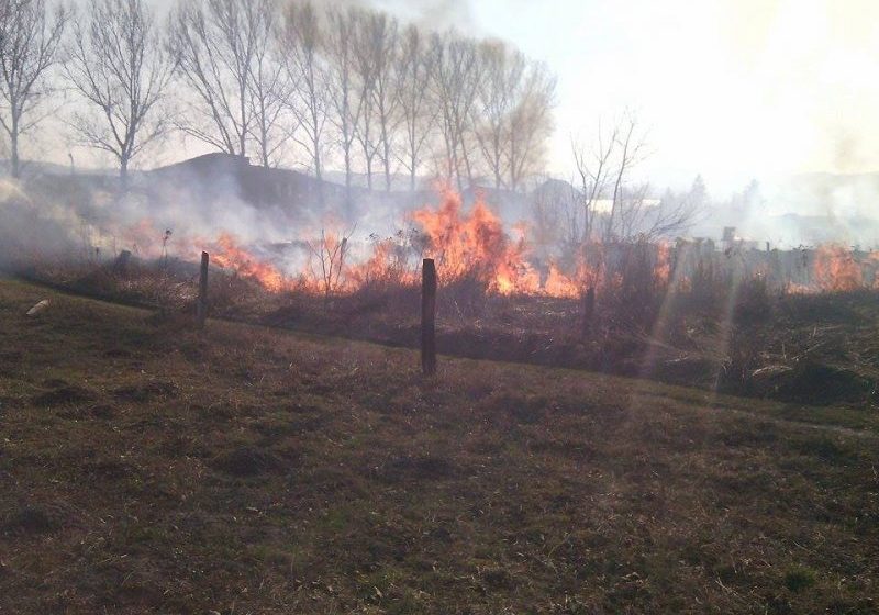 SIGHET: Incendiu de mare amploare în zona Cămara (GALERIE FOTO)