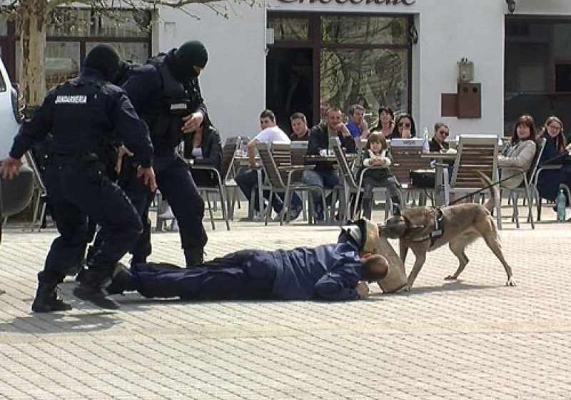 BAIA MARE: Demonstrație pentru copii, la aeroport, cu incendii, focuri de armă și lupte între civili şi mascaţi