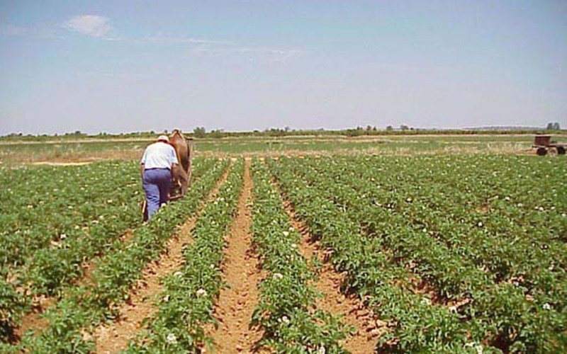 MARAMUREȘ: Cererile de plată pentru fermieri se primesc până în 15 iunie MARAMUREȘ: Cererile de plată pentru fermieri se primesc până în 15 iunie