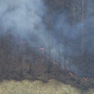 ISU: Incendiu de vegetație la Ieud