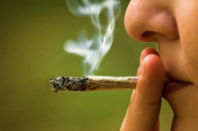 STUDIU: Consumul de marijuana creează amintiri false! STUDIU: Consumul de marijuana creează amintiri false!