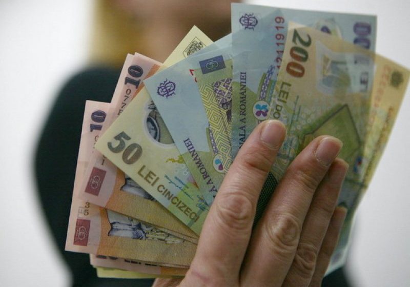 EFECT BIZAR: Românilor nu prea le mai plac leii. Preferă ronii