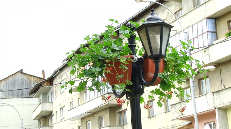 SIGHET: Pregătirile pentru sărbătoarea Rusaliilor au intrat în linie dreaptă SIGHET: Pregătirile pentru sărbătoarea Rusaliilor au intrat în linie dreaptă