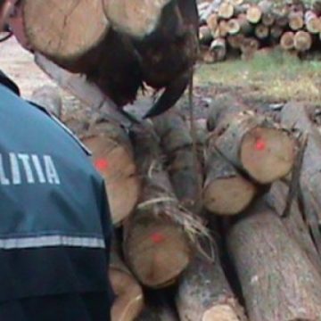Controale pe linie silvică Controale pe linie silvică