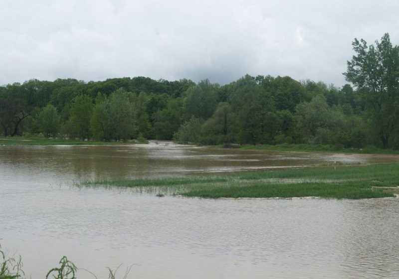 DEZASTRU: O mie de hectare de teren agricol din județ au fost distruse în urma inundațiilor de ieri DEZASTRU: O mie de hectare de teren agricol din județ au fost distruse în urma inundațiilor de ieri