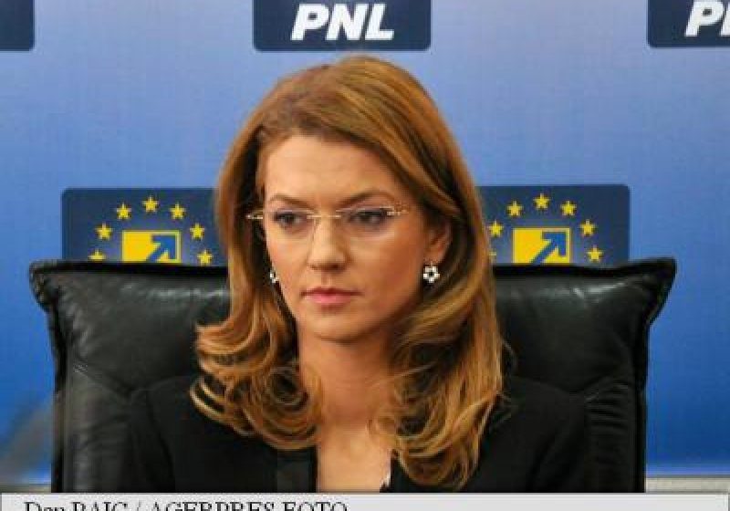 GORGHIU: PSD nu are motive reale de neliniște; moțiunea va fi depusă vineri