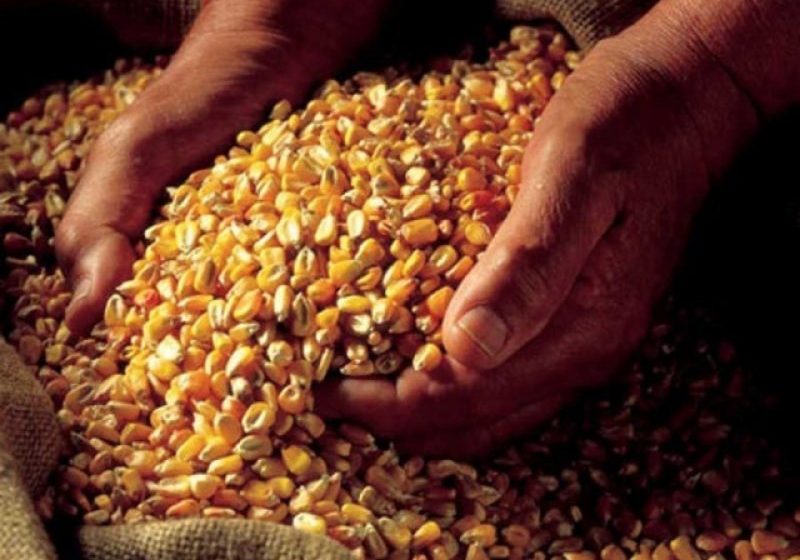 MARAMUREŞ: O autoutilitară a fost indisponibilizată şi peste 2.100 de kg de produse cerealiere au fost confiscate de poliţişti
