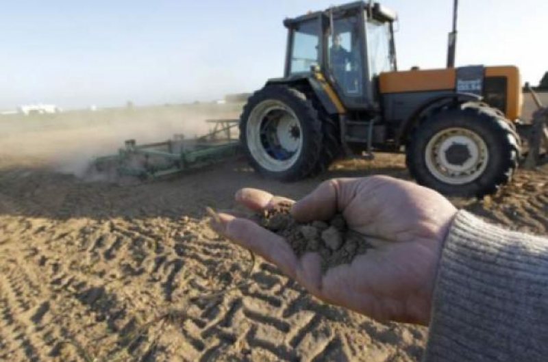 NEAMŢ: Se preconizează cel mai slab an agricol din ultimii 25 de ani NEAMŢ: Se preconizează cel mai slab an agricol din ultimii 25 de ani