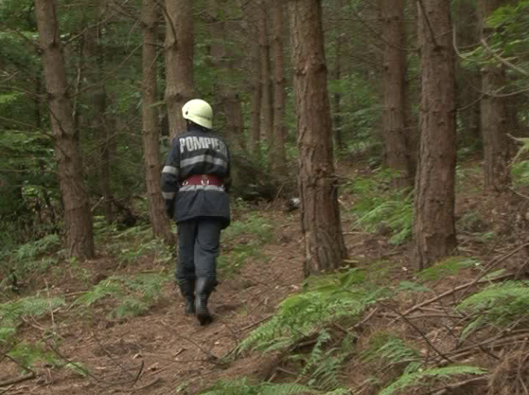 BAIA MARE: Copii pierduţi într-o pădure din cartierul Ferneziu