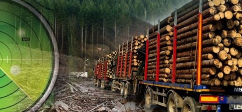CA LA NOI LA NIMENEA: Amendat fiindcă a sunat la 112 pentru verificarea unui transport de lemne, conform programului Radarul Pădurilor CA LA NOI LA NIMENEA: Amendat fiindcă a sunat la 112 pentru verificarea unui transport de lemne, conform programului Radarul Pădurilor