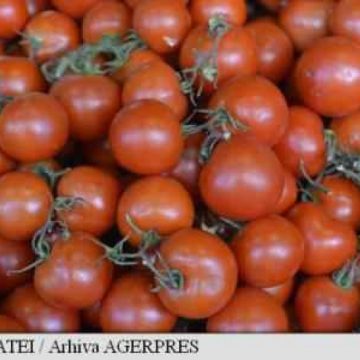 Unele propuneri ale fermierilor, în programele de sprijin derulate de Ministerul Agriculturii şi Dezvoltării Rurale Unele propuneri ale fermierilor, în programele de sprijin derulate de Ministerul Agriculturii şi Dezvoltării Rurale