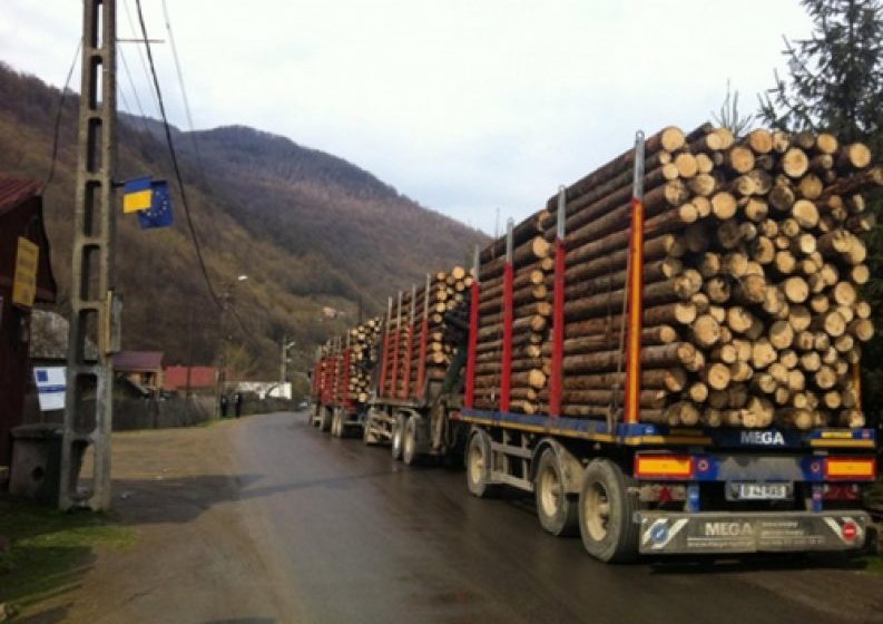 MARAMUREŞ: Material lemnos transportat fără documente legale, confiscat de poliţişti