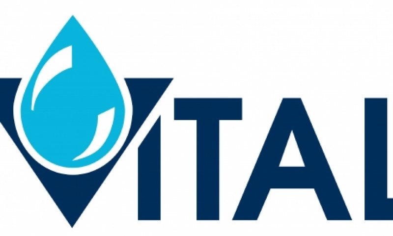 SIGHET: Datorii de peste două milioane de lei la Vital SIGHET: Datorii de peste două milioane de lei la Vital