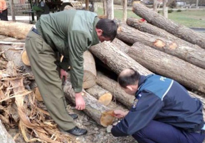 ŞOMCUTA MARE: A sustras material lemnos, dar a fost prins de poliţişti