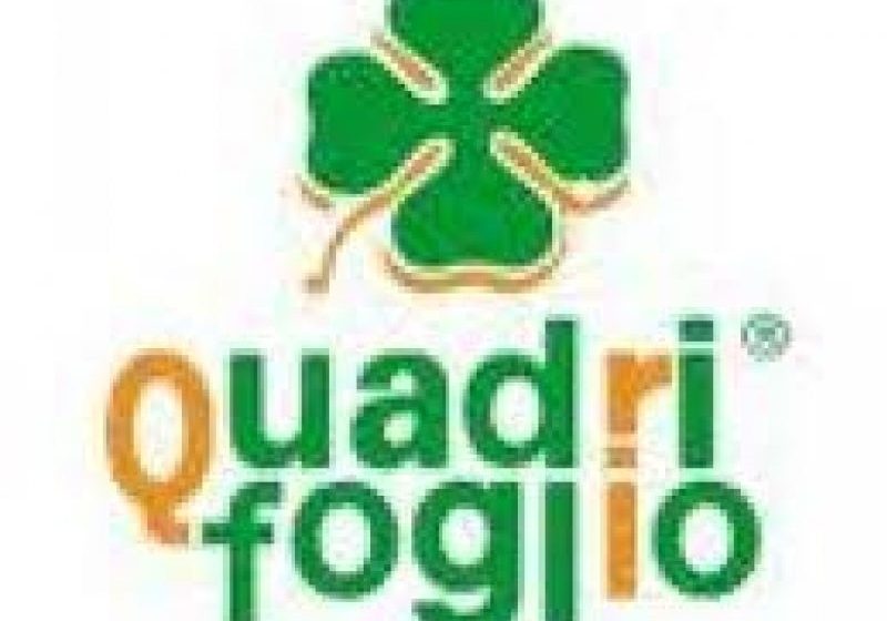 SIGHET: Elevii pot beneficia de cursuri gratuite de engleză şi italiană, începând de luni SIGHET: Elevii pot beneficia de cursuri gratuite de engleză şi italiană, începând de luni