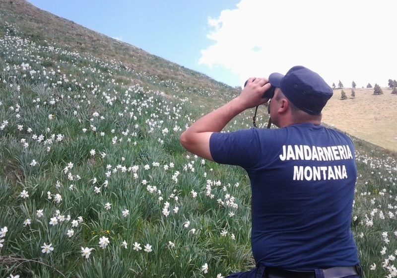MARAMUREȘ: Ilegalități descoperite în urma unor controale în Munții Rodnei