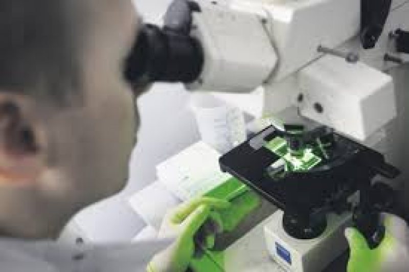 MECS: România a cucerit prima medalie de aur din istoria participării ei la Olimpiada Internațională de Biologie MECS: România a cucerit prima medalie de aur din istoria participării ei la Olimpiada Internațională de Biologie