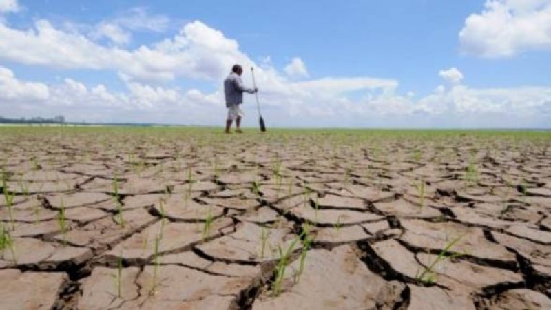 ANM: Deficitul de apă din sol se va menține în regiunile agricole din est, sud-est, sud și vest (agrometeo) ANM: Deficitul de apă din sol se va menține în regiunile agricole din est, sud-est, sud și vest (agrometeo)