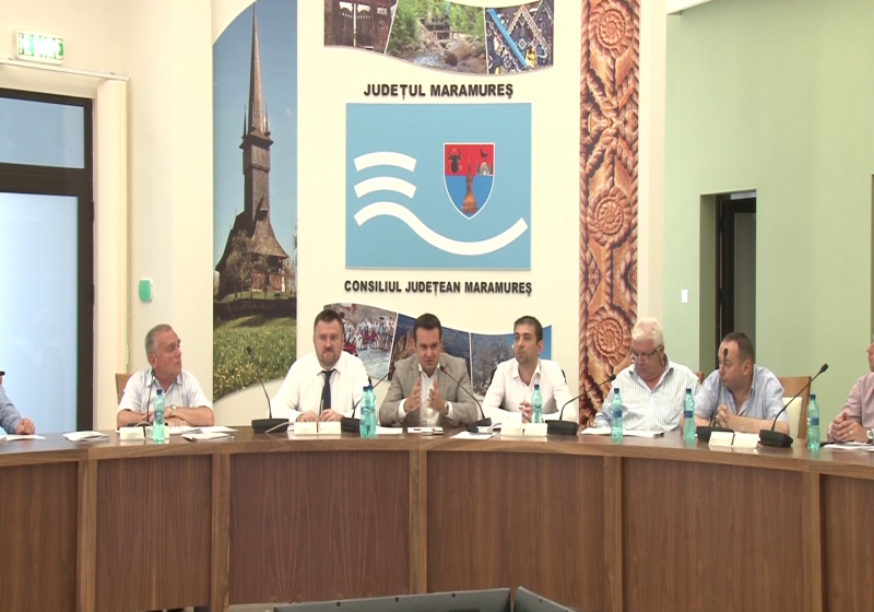 DECIZIE: Castelul Pocol trece în domeniul public al municipiului Baia Mare DECIZIE: Castelul Pocol trece în domeniul public al municipiului Baia Mare