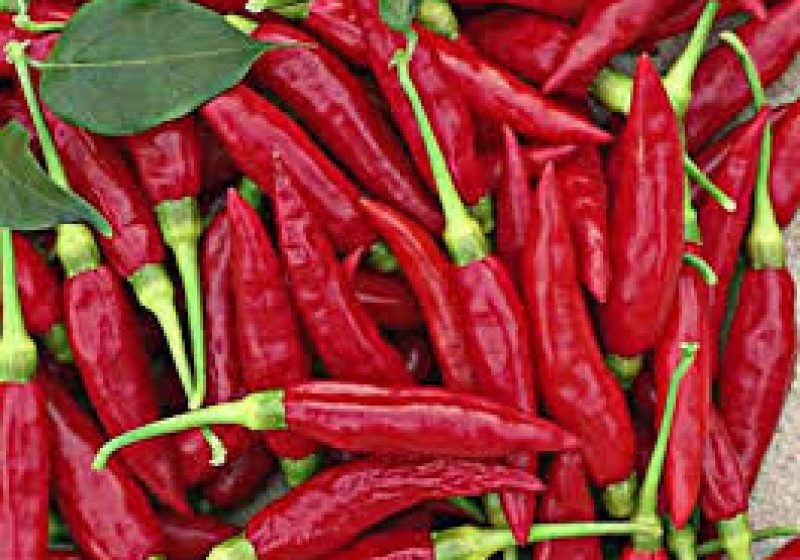 STUDIU: Alimentele picante ar fi asociate cu o mai mare longevitate STUDIU: Alimentele picante ar fi asociate cu o mai mare longevitate
