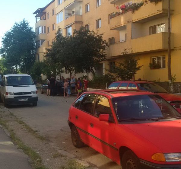 BAIA MARE: Copac căzut peste o maşină