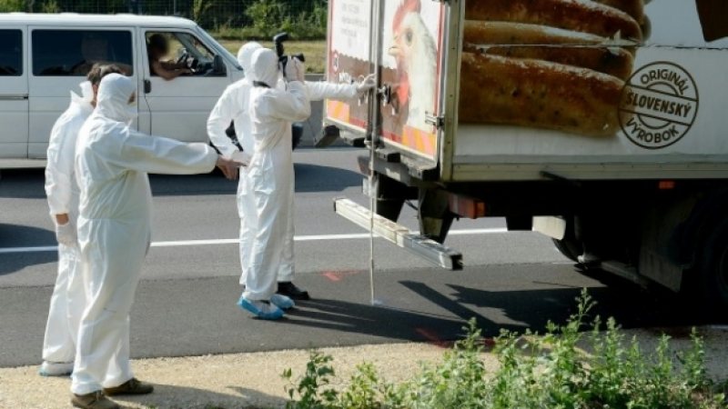 AUSTRIA: Poliția confirmă arestarea a trei persoane în legătură cu imigranții găsiți morți într-un camion AUSTRIA: Poliția confirmă arestarea a trei persoane în legătură cu imigranții găsiți morți într-un camion