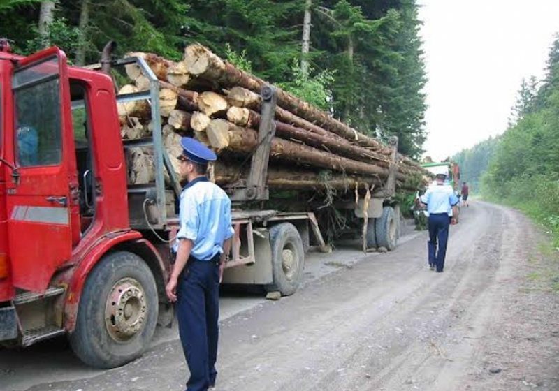 BORŞA: Sancţiuni contravenţionale şi material lemnos, confiscat de poliţişti BORŞA: Sancţiuni contravenţionale şi material lemnos, confiscat de poliţişti
