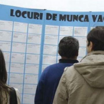 AJOFM: Locuri de muncă disponibile în Maramureș AJOFM: Locuri de muncă disponibile în Maramureș