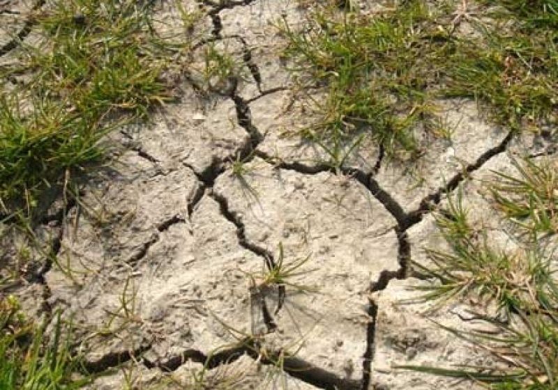 AGROMETEO: Rezerva de apă din solul agricol rămâne scăzută și deosebit de scăzută pe majoritatea suprafețelor AGROMETEO: Rezerva de apă din solul agricol rămâne scăzută și deosebit de scăzută pe majoritatea suprafețelor
