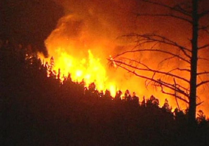 SUCIU DE SUS: Incendiu de vegetaţie uscată