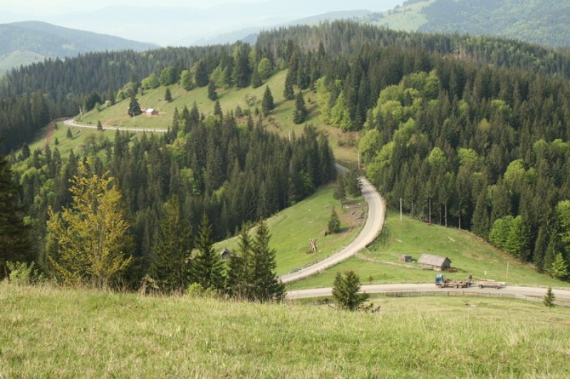 "VITEZA A CINCEA": Sinaia și serpentinele din Carpați, din nou promovate de jurnaliștii străini "VITEZA A CINCEA": Sinaia și serpentinele din Carpați, din nou promovate de jurnaliștii străini