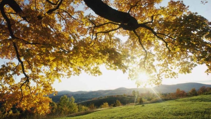ANM: Prognoza meteo pentru septembrie, octombrie şi noiembrie ANM: Prognoza meteo pentru septembrie, octombrie şi noiembrie