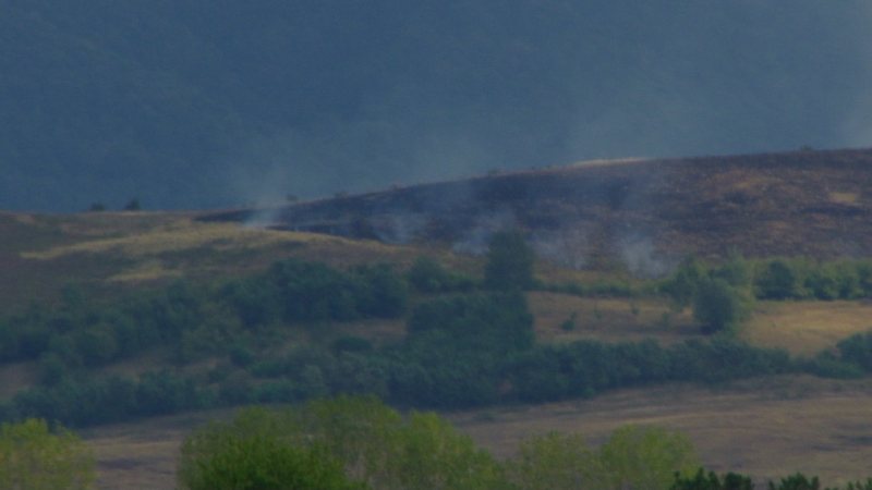FOC PE DEAL: Un incendiu de vegetaţie uscată a izbucnit în Bocicoiu Mare FOC PE DEAL: Un incendiu de vegetaţie uscată a izbucnit în Bocicoiu Mare