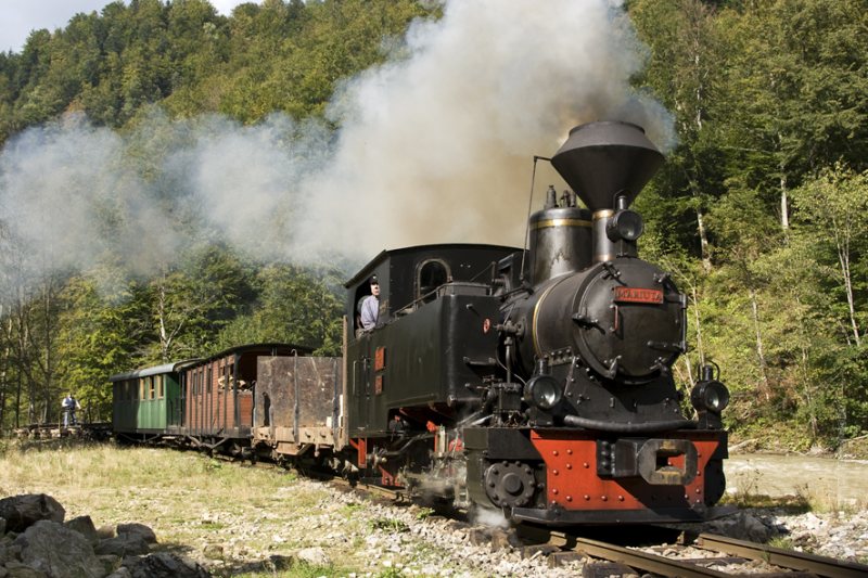 VIȘEU DE SUS: Peste o mie de turiști au călătorit zilnic cu Mocănița în această vară VIȘEU DE SUS: Peste o mie de turiști au călătorit zilnic cu Mocănița în această vară