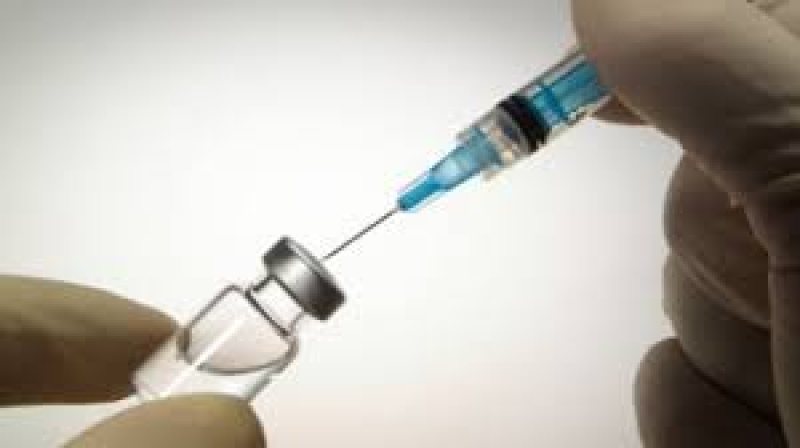 BAIA MARE: Spitalul Județean mai are doar două fiole de ser antiviperin BAIA MARE: Spitalul Județean mai are doar două fiole de ser antiviperin