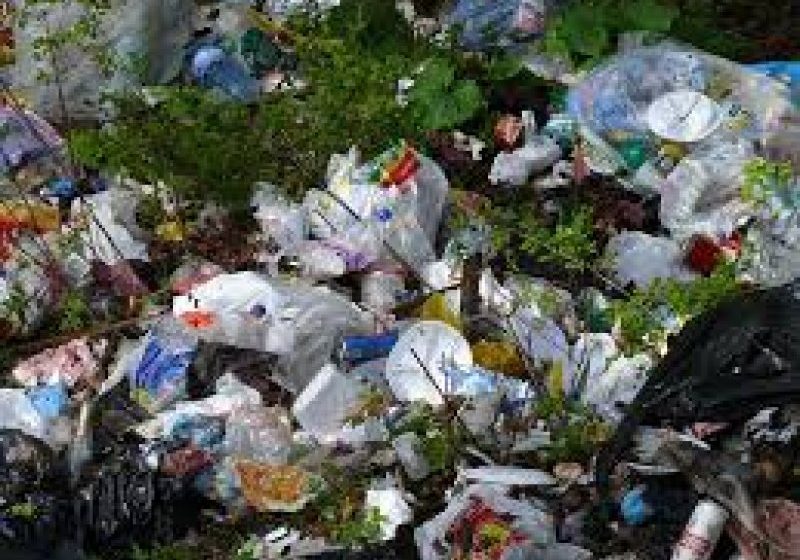 PROBLEMĂ REZOLVATĂ: Cinci ore le-a trebuit muncitorilor pentru a curăţa gunoiul din zona Cimitirului Central PROBLEMĂ REZOLVATĂ: Cinci ore le-a trebuit muncitorilor pentru a curăţa gunoiul din zona Cimitirului Central