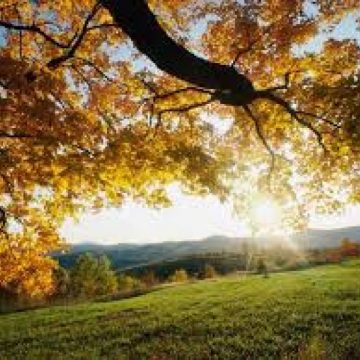 METEO: Prognoza vremii pentru următoarele două săptămâni în Maramureș METEO: Prognoza vremii pentru următoarele două săptămâni în Maramureș