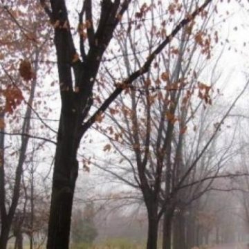 Vremea astăzi în Maramureș