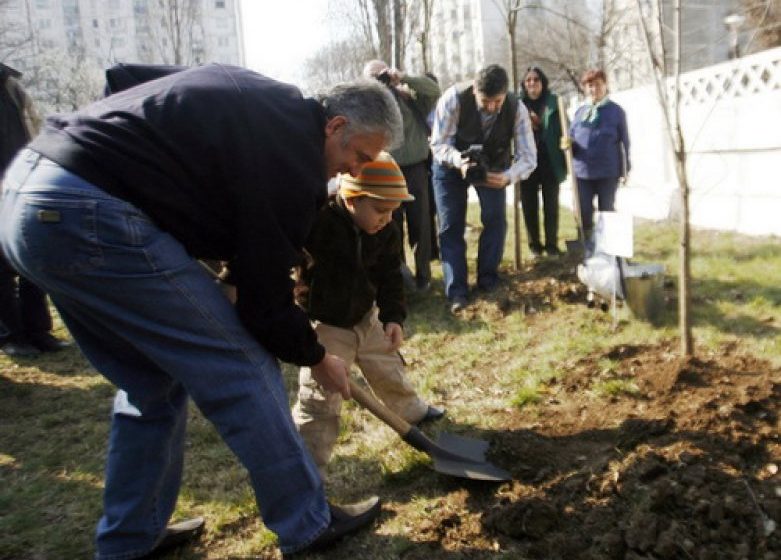 CAMPANIE: Acțiune națională de împădurire a 80 de hectare de terenuri publice, organizată în 14 noiembrie