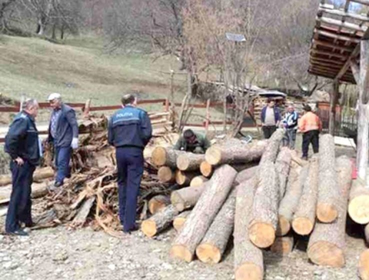 MARAMUREŞ: Poliţiştii au aplicat sancţiuni contravenţionale în valoare de peste 12 000 de lei şi au confiscat aproape 16 mc de material lemnos MARAMUREŞ: Poliţiştii au aplicat sancţiuni contravenţionale în valoare de peste 12 000 de lei şi au confiscat aproape 16 mc de material lemnos