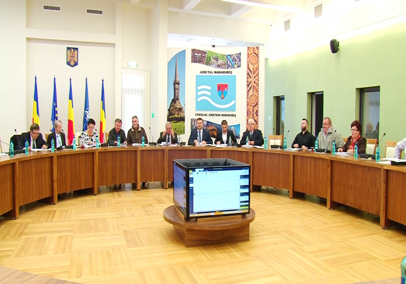 MARAMUREȘ: Se înființează Serviciul Public de Salubrizare