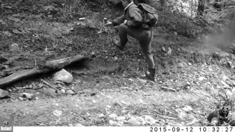 REVOLTĂTOR/VIDEO: Caz de braconaj surprins de camerele video instalate de WWF in Muntii Ţarcu REVOLTĂTOR/VIDEO: Caz de braconaj surprins de camerele video instalate de WWF in Muntii Ţarcu