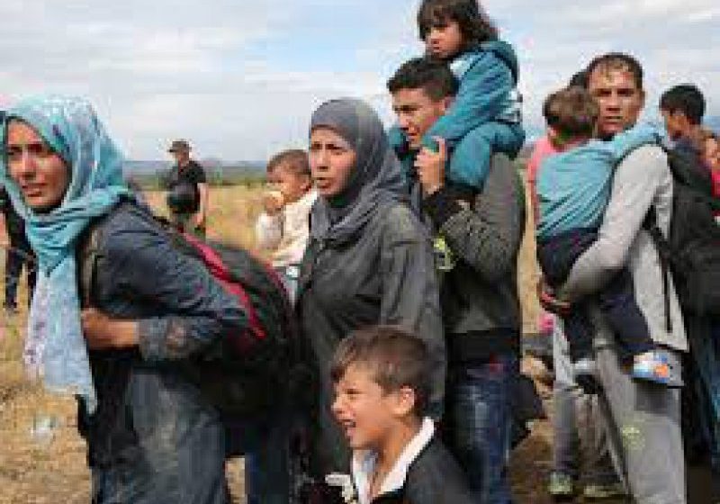 UNGARIA: Peste 7.000 de migranți, reținuți marți pentru trecerea ilegală a frontierei UNGARIA: Peste 7.000 de migranți, reținuți marți pentru trecerea ilegală a frontierei