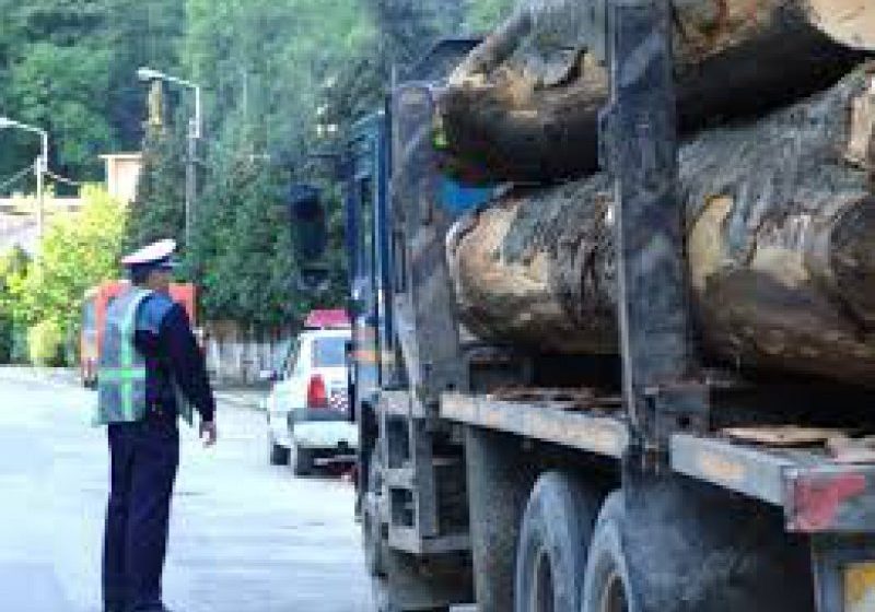 SĂPÂNŢA: Poliţiştii au întocmit dosar penal pentru tăiere ilegală de arbori şi au aplicat amenzi în valoare de 4.000 de lei pentru transport ilegal de material lemnos SĂPÂNŢA: Poliţiştii au întocmit dosar penal pentru tăiere ilegală de arbori şi au aplicat amenzi în valoare de 4.000 de lei pentru transport ilegal de material lemnos