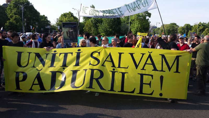 MEDIU: ONG-urile se unesc împotriva tăierilor ilegale și cer o mai bună administrare a pădurilor în România și o reacție europeană pentru a opri comerțul cu lemn ilegal MEDIU: ONG-urile se unesc împotriva tăierilor ilegale și cer o mai bună administrare a pădurilor în România și o reacție europeană pentru a opri comerțul cu lemn ilegal