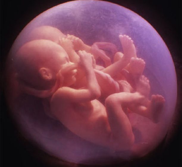 ȘTIINȚĂ: Prima operație intrauterină efectuată în România