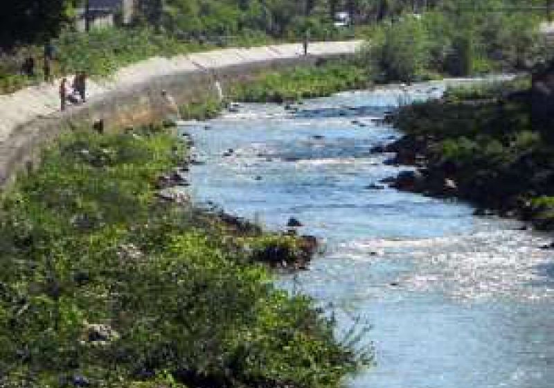 BORŞA: O persoană a căzut în râu