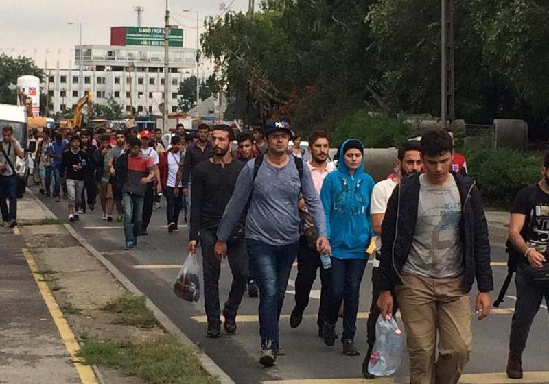 OIM: Numărul refugiaților ajunși în Grecia a crescut înainte de înrăutățirea vremii