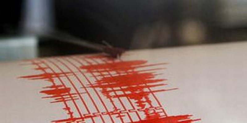 S-A MIŞCAT PĂMÂNTUL: Cutremur în Vrancea, resimţit şi la Bucureşti S-A MIŞCAT PĂMÂNTUL: Cutremur în Vrancea, resimţit şi la Bucureşti